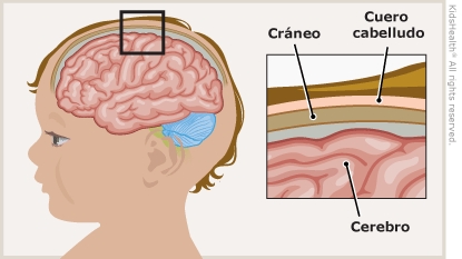 KidsHealth Image