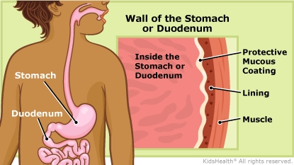 KidsHealth Image